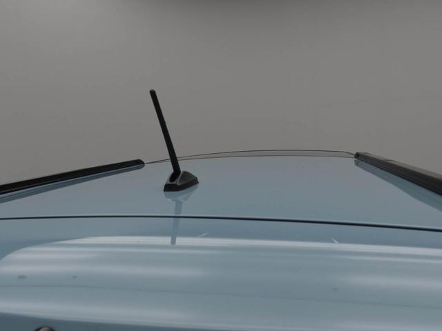 タフトG(愛知県)の中古車