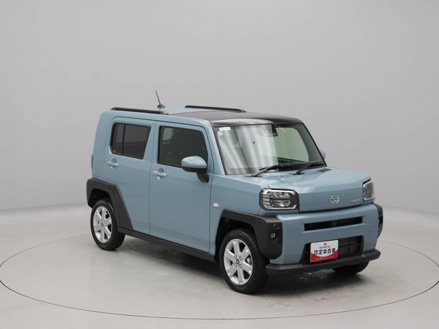 タフトG(愛知県)の中古車