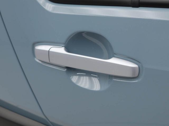 タフトＧバックカメラ　シートヒーター　キーフリー（愛知県）の中古車