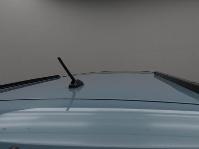 タフトＧバックカメラ　シートヒーター　キーフリー（愛知県）の中古車