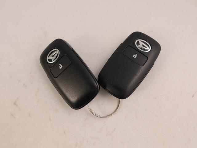 タフトXキーフリーシステム スカイフィールトップ スチールホイール(愛知県)の中古車