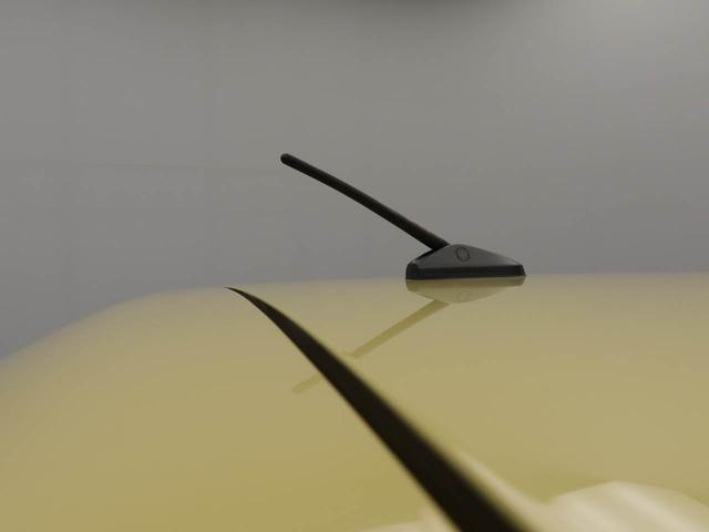 タフトXキーフリーシステム スカイフィールトップ スチールホイール(愛知県)の中古車