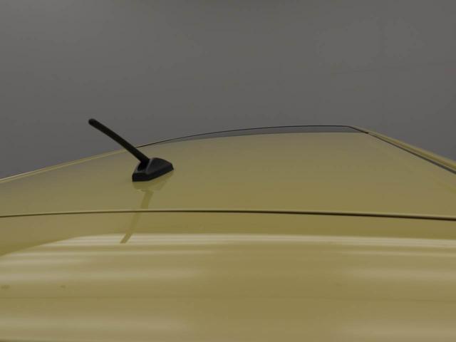 タフトXキーフリーシステム スカイフィールトップ スチールホイール(愛知県)の中古車