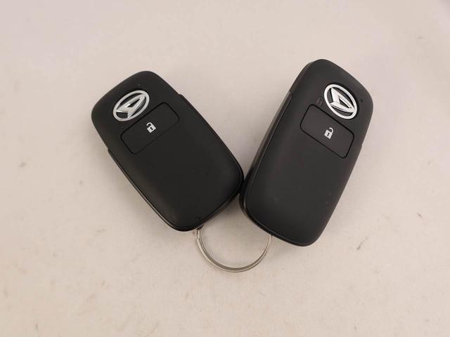 タフトＧエアコン　パワステ　パワーウィンドウ　ＡＢＳ　エアバック　アルミホイール　サンルーフ　キーフリー　電動ドアミラー（愛知県）の中古車