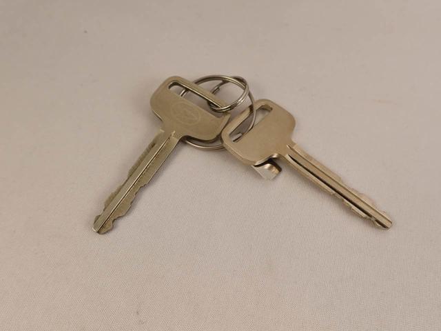 ハイゼットトラックスタンダード（愛知県）の中古車