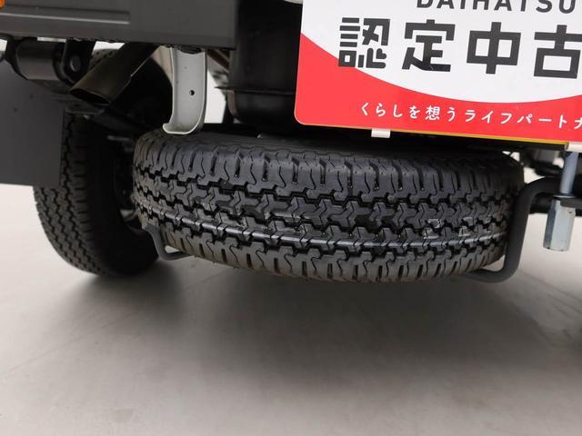 ハイゼットトラックスタンダード（愛知県）の中古車