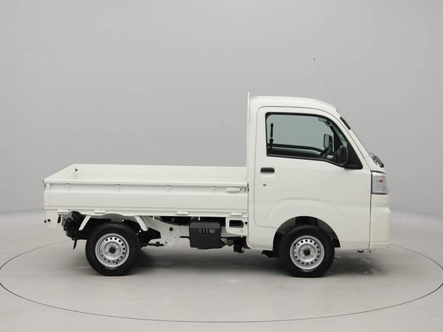 ハイゼットトラックスタンダード（愛知県）の中古車