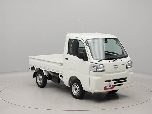 ハイゼットトラックスタンダード（愛知県）の中古車