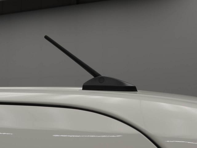 タントＸ　両側電動スライドドア　バックカメラ　スマートキー衝突軽減ブレーキ　ＬＥＤヘッドライト　プッシュボタンスタート　アイドリングストップ　スマートキー　運転席・助手席シートヒーター　オートエアコン　電動パーキングブレーキ　電動格納ドアミラー（愛知県）の中古車