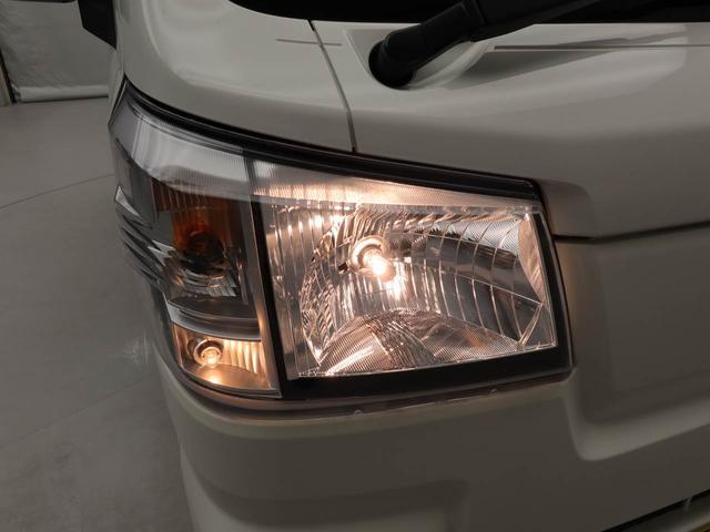 ハイゼットトラックスタンダード(愛知県)の中古車