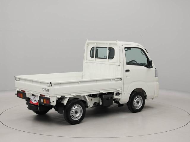 ハイゼットトラックスタンダード(愛知県)の中古車