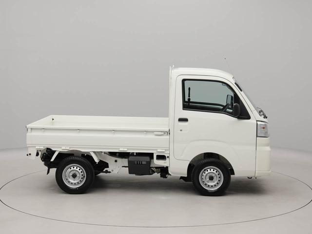 ハイゼットトラックスタンダード(愛知県)の中古車