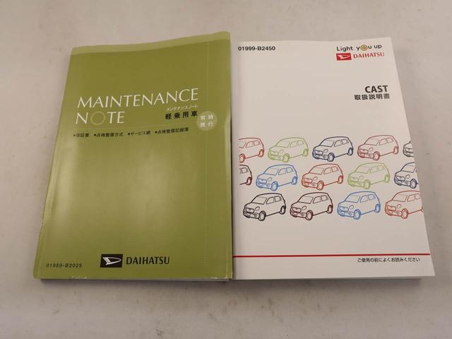 キャストスタイルＸ　ＳＡIIIナビ　バックカメラ　ＥＴＣ（愛知県）の中古車
