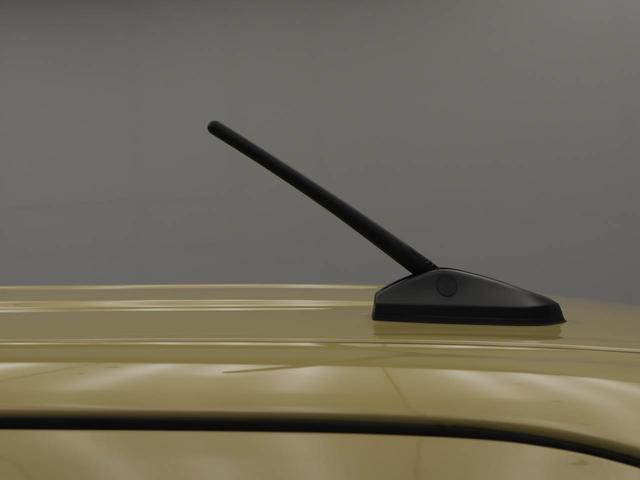 タントＸスマートキー　両側パワースライドドア　ＬＥＤライト　電動パーキングブレーキ（愛知県）の中古車