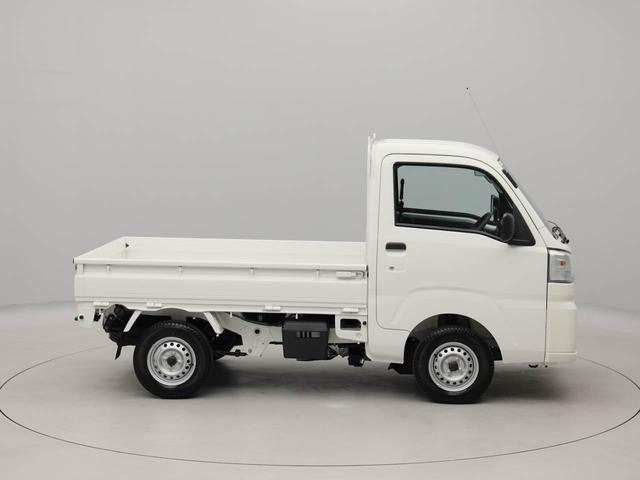 ハイゼットトラックスタンダード(愛知県)の中古車