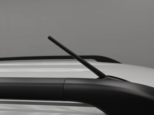 タントファンクロスターボリミテッドワンオーナー　衝突回避支援ブレーキ　車線逸脱警報　バックカメラ　ディスプレイオーディオ　両側電動スライドドア　キーフリー　プッシュスタート　ＬＥＤヘッドランプ　アルミホイール　アイドリングストップ（愛知県）の中古車