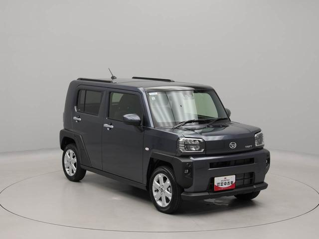 タフトＧ（愛知県）の中古車