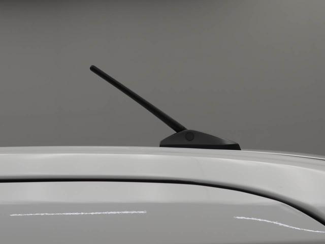 ムーヴキャンバスストライプスＧバックカメラ　両側電動スライドドア（愛知県）の中古車