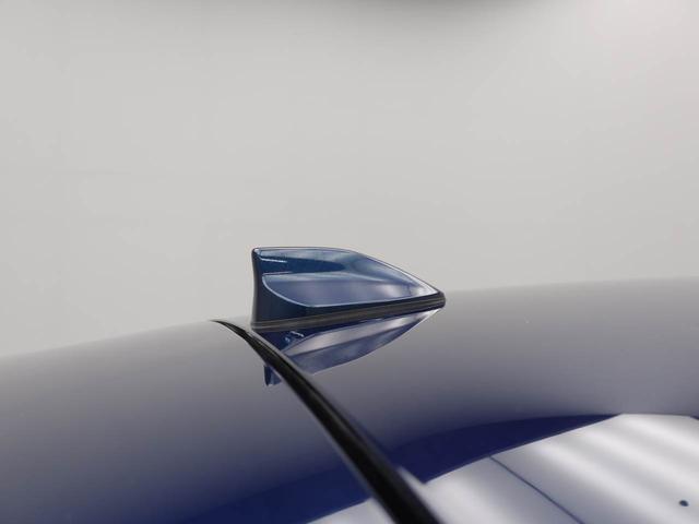 ロッキープレミアムG(愛知県)の中古車