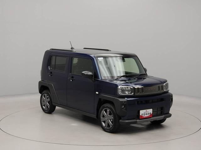 タフトＧターボ　クロムベンチャーエアコン　パワステ　パワーウィンドウ　ＡＢＳ　エアバック　アルミホイール　サンルーフ　キーフリー　電動ドアミラー　バックカメラ（愛知県）の中古車