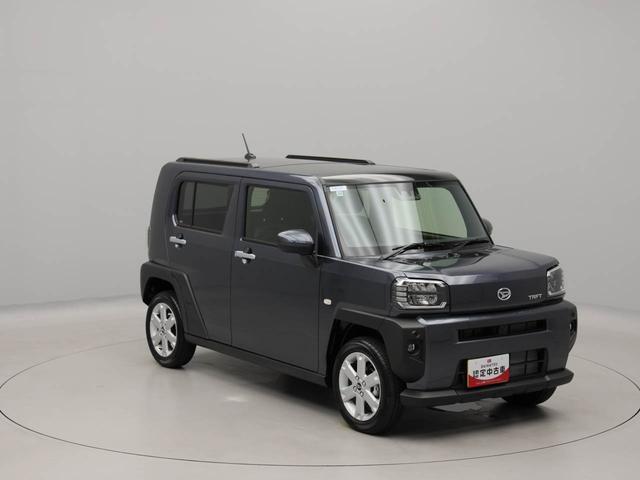 タフトＧ（愛知県）の中古車