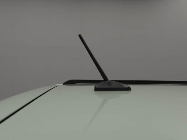 タフトGターボディスプレイオーディオ パノラマモニター(愛知県)の中古車