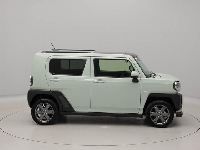 タフトGターボディスプレイオーディオ パノラマモニター(愛知県)の中古車