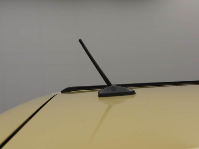 タフトＧターボ　クロムベンチャー（愛知県）の中古車