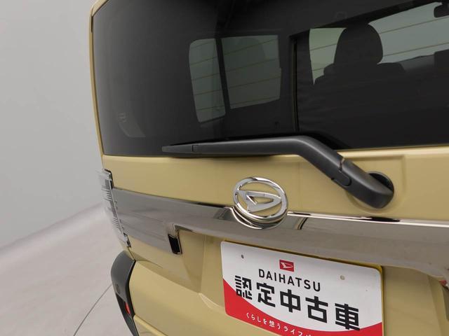 タフトＧターボ　クロムベンチャー（愛知県）の中古車