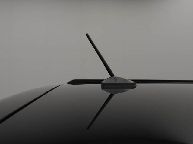 タフトＧバックカメラ　ＬＥＤヘッドライト（愛知県）の中古車