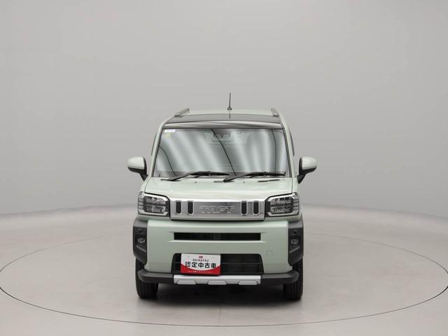 タフトＧ　クロムベンチャー（愛知県）の中古車