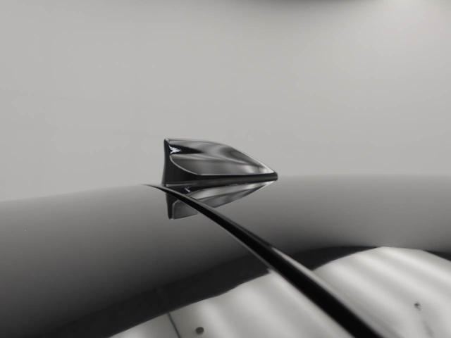ロッキーＸ（愛知県）の中古車
