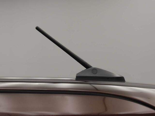 タントX両側電動スライドドア バックカメラ(愛知県)の中古車
