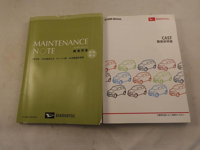 キャストスタイルＸ（愛知県）の中古車