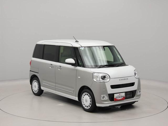ムーヴキャンバスストライプスＧ（愛知県）の中古車