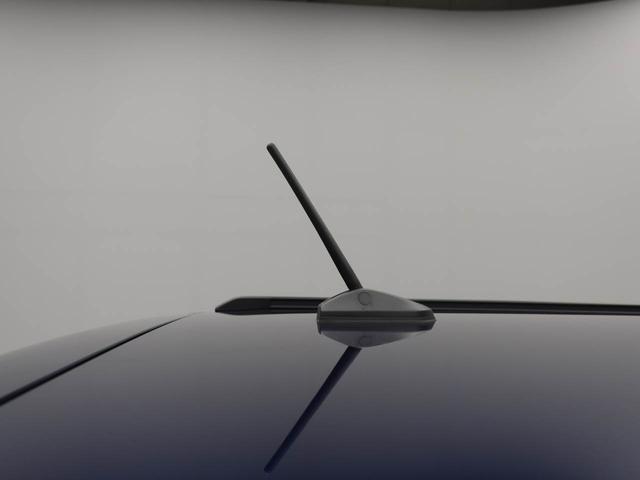 タフトＧ　クルーズコントロール　オーディオレス　バックカメラ電動パーキング　プッシュスタート　スマートキー　ＬＥＤヘッドライトＵＳＢポート　アルミホイール（愛知県）の中古車