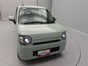 （愛知県）の中古車