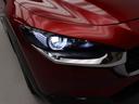 衝突軽減ブレーキ　レーダークルーズコントロール　ＬＥＤヘッドライト　アルミホイール　電動格納ドアミラー　プッシュボタンスタート　運転席パワーシート　運転席・助手席シートヒーター　電動テールゲート（愛知県）の中古車