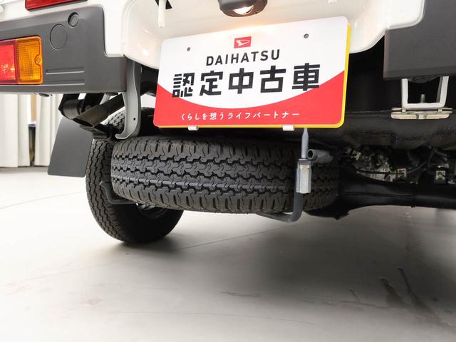 ハイゼットトラックスタンダード　農用スペシャル（愛知県）の中古車