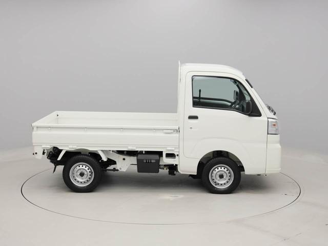 ハイゼットトラックスタンダード（愛知県）の中古車