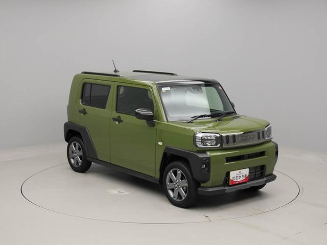 タフトＧ　ダーククロムベンチャー（愛知県）の中古車