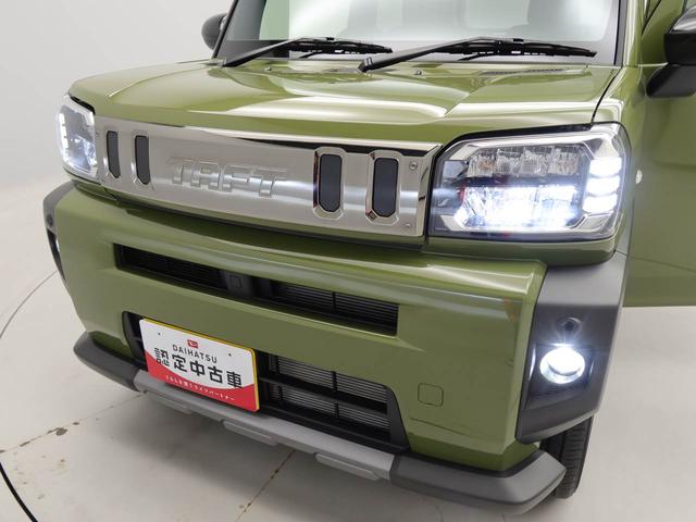 タフトＧ　ダーククロムベンチャー（愛知県）の中古車