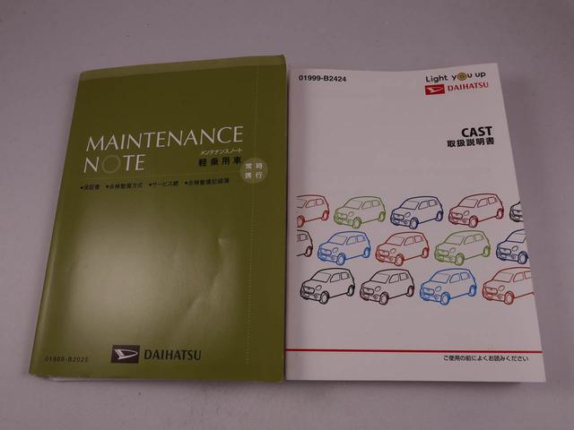 キャストスタイルＧ　ＳＡIIIメモリナビ　ドライブレコーダー　パノラマカメラ（愛知県）の中古車