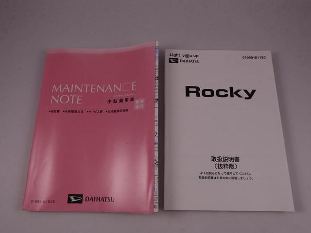 ロッキープレミアム（愛知県）の中古車