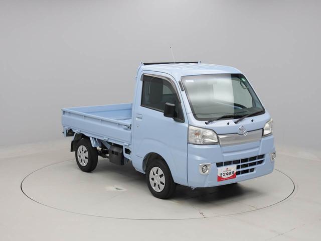 ハイゼットトラックスタンダード（愛知県）の中古車