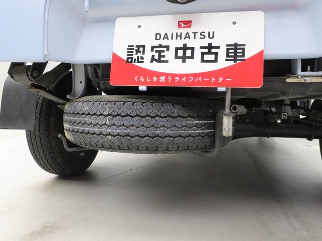 ハイゼットトラックスタンダード（愛知県）の中古車