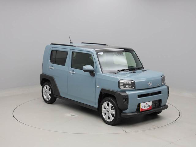 タフトＧ（愛知県）の中古車