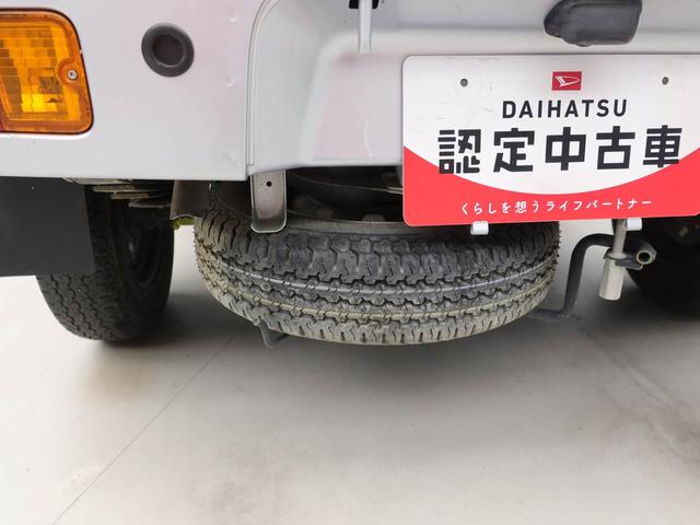 ハイゼットトラックスタンダード（愛知県）の中古車