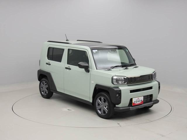 タフトＧ　ダーククロムベンチャー（愛知県）の中古車