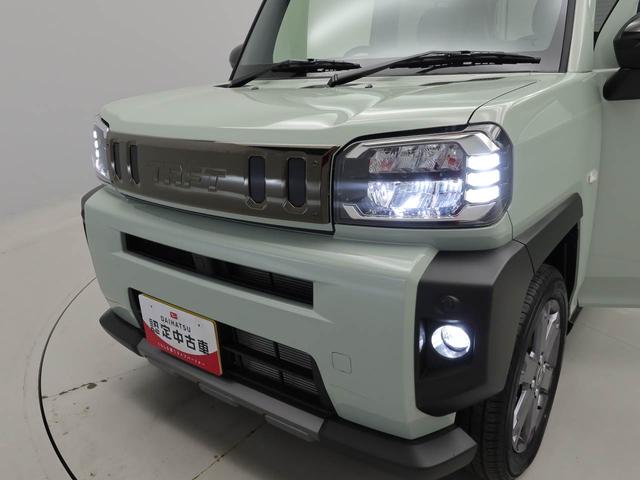 タフトＧ　ダーククロムベンチャー（愛知県）の中古車